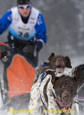 Tri studne zima 2009 - 0225.jpg